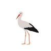 birdieramone